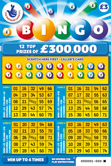 Bingo! Lucky rugby fan wins big!